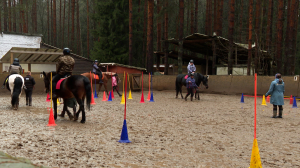 Счастье общения: как иппотерапия помогает людям восстановить душевное равновесие
