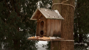 Карта кормушек в Приморском парке Победы