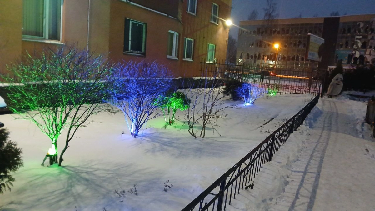 В Ленобласти 23 января ожидаются заморозки до минус 23, на дорогах – гололедица - tvspb.ru