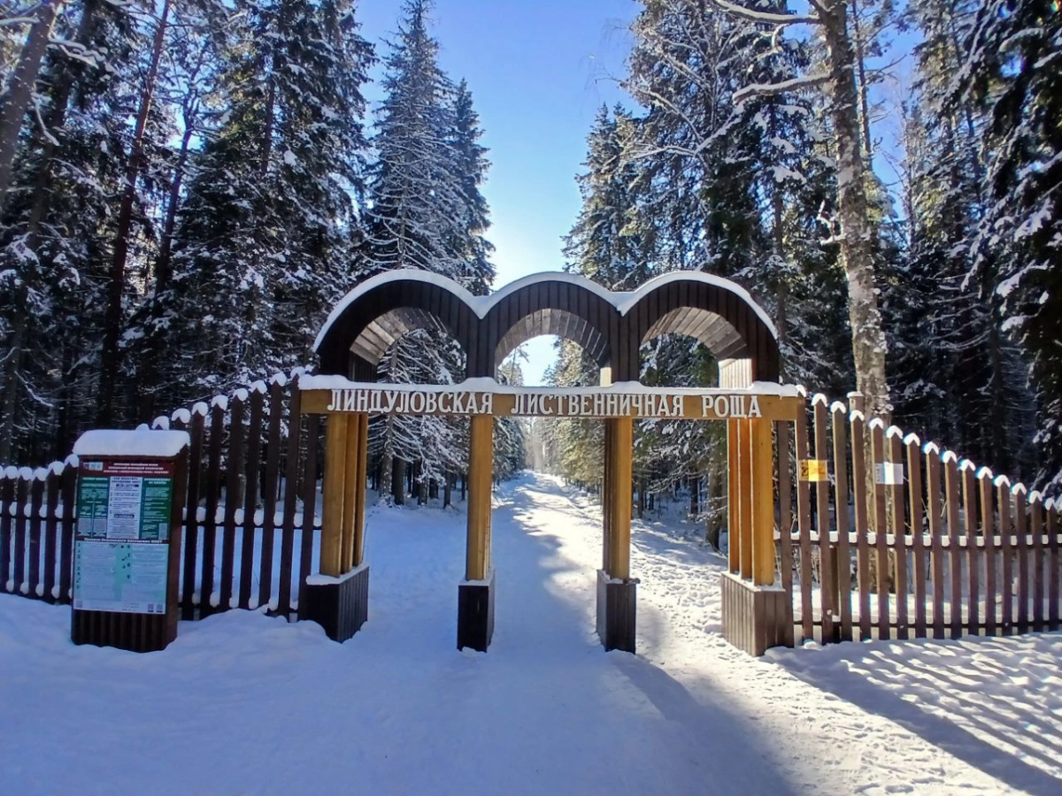 В Ленобласти 15 января ожидаются заморозки до минус 19 - tvspb.ru