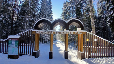 В Ленобласти 15 января ожидаются заморозки до минус 19