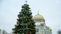 Новогодняя ель на Якорной площади в Кронштадте победила во всероссийском конкурсе «Ёлки России»