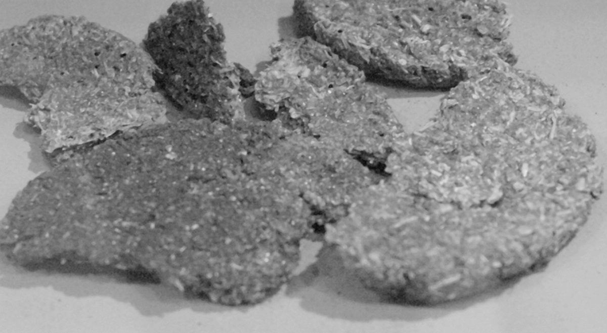 Историки СПбГУ рассказали, чем питались жители блокадного Ленинграда - tvspb.ru