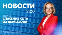 Новости Петербурга к 8:00
