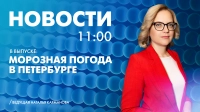 Новости Петербурга к 11:00