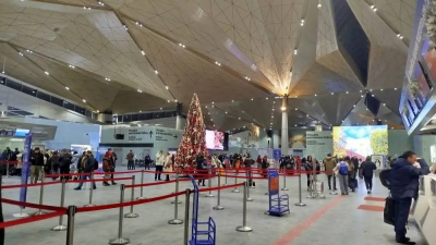 Черепаху, шаманский бубен и 4 килограмма икры забыли пассажиры в Пулково в 2025 году