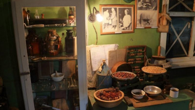 Выставка «Зоосад в годы блокады» откроется в Ленинградском зоопарке 17 января