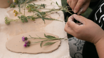 Александр Беглов: Проекты петербургских НКО получат президентские гранты на 324 миллиона рублей