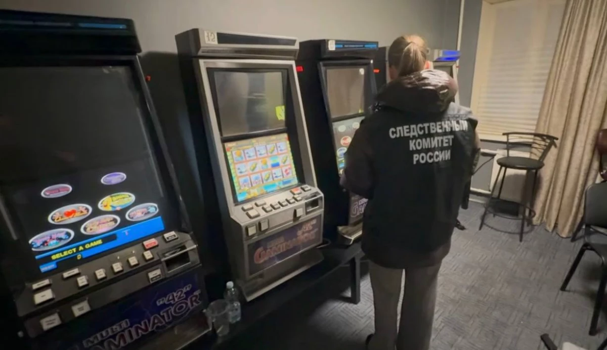 Игровая сеть на улице Коллонтай: в квартире нашли 24 компьютера и 15 автоматов для азартных игр - tvspb.ru
