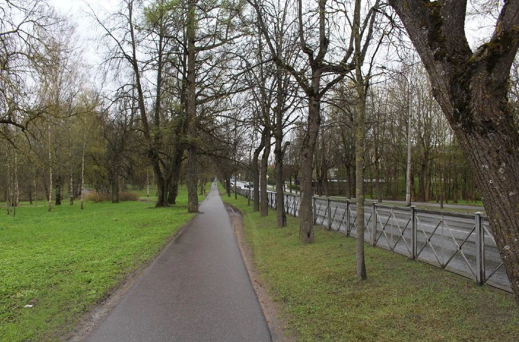 Павловское шоссе стало памятником регионального значения - tvspb.ru