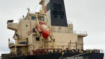 Свыше 33 тысяч тонн кормовой пшеницы отправилось в Израиль из Ленобласти