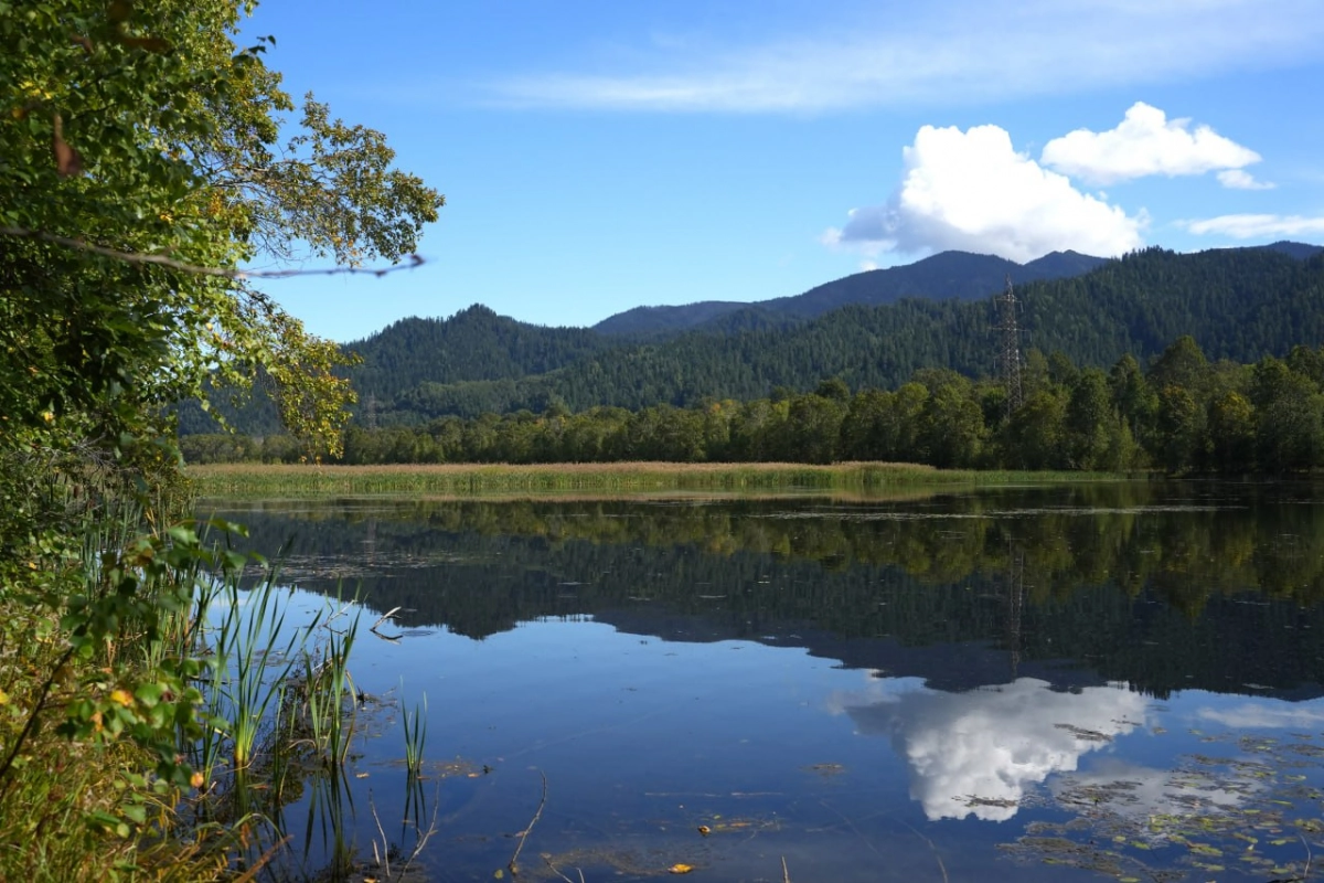 Экологические риски в России будут прогнозировать с помощью цифровой платформы - tvspb.ru