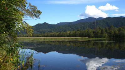 Экологические риски в России будут прогнозировать с помощью цифровой платформы