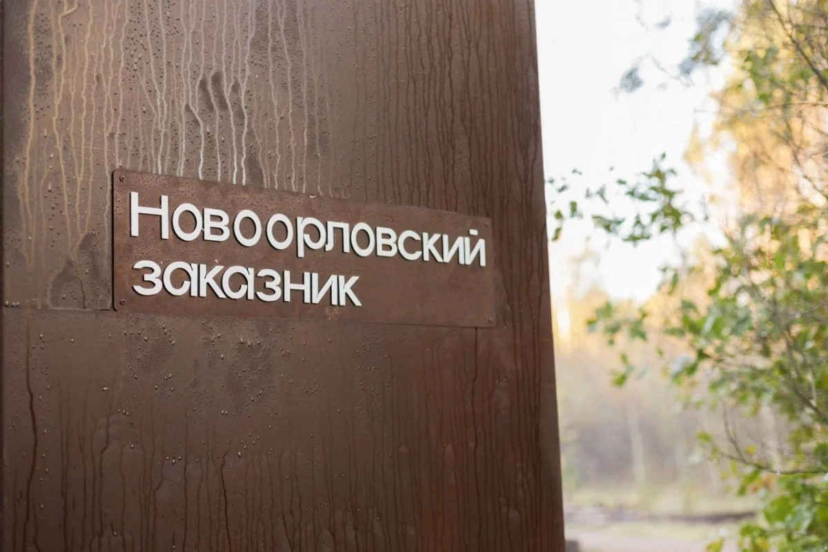 Петербург стал лидером всероссийского «зеленого» рeйтинга туризма - tvspb.ru