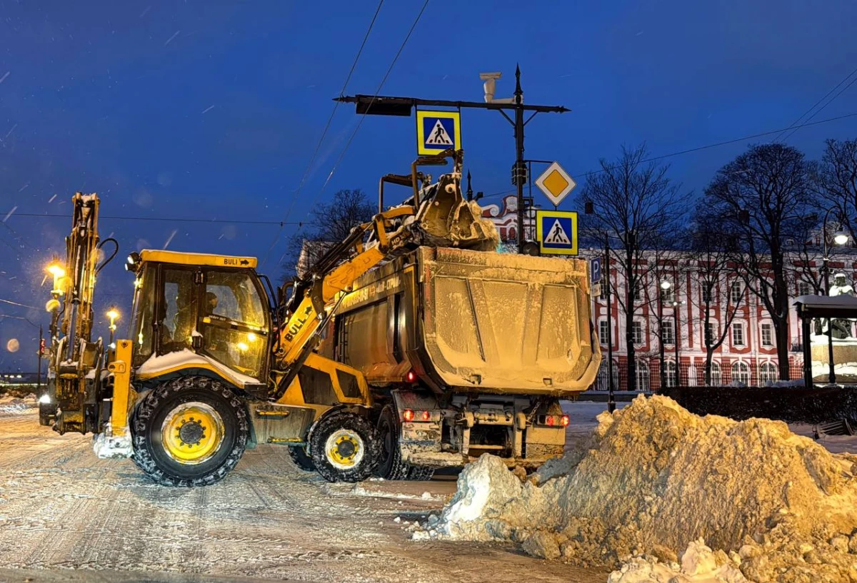 За сутки циклон «Фрэнсис» принес в Петербург почти 13 см снега - tvspb.ru