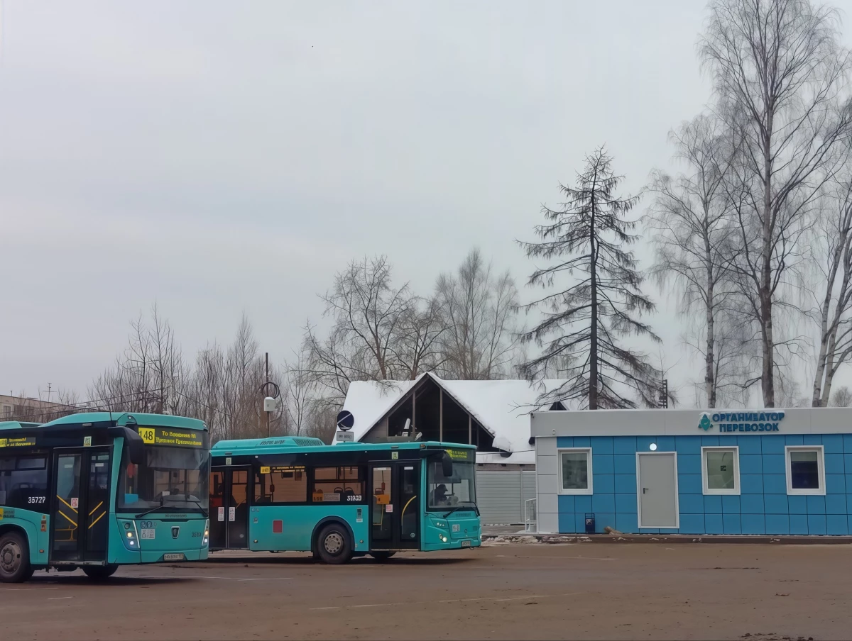 С новой отстойно-разворотной площадки на Заречной улице отправились первые автобусы - tvspb.ru