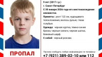 В Красносельском районе пропал 9-летний мальчик