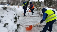 В комитете по благоустройству рассказали, как очищают от снега парки, сады и скверы Петербурга
