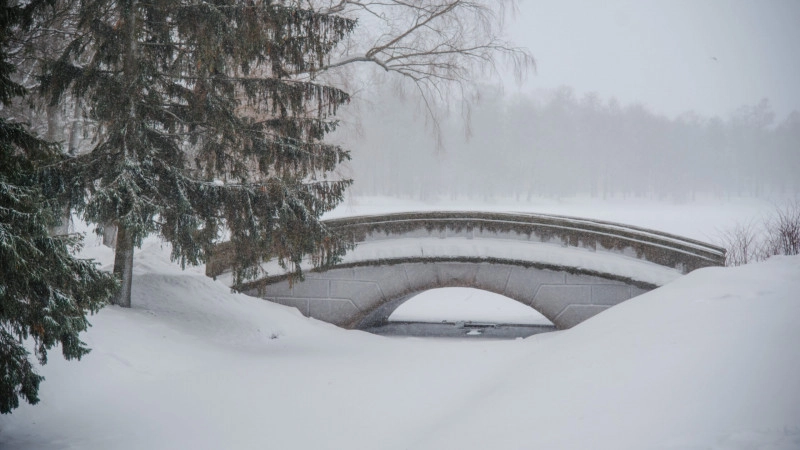 Высота снежного покрова в Петербурге составила 26 сантиметров, это – самый высокий показатель с начала зимы - tvspb.ru