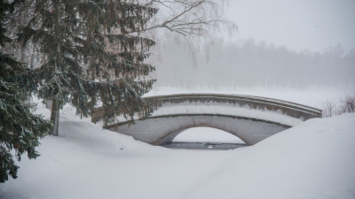 Высота снежного покрова в Петербурге составила 26 сантиметров, это – самый высокий показатель с начала зимы