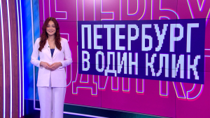 Петербург в один клик. Тур Деда Мороза и Снегурочки по городам России, световые бабочки и стрекозы, ледяные цветы под Выборгом и радующийся снегу, кот