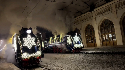 Более 48 тыс. человек посетили программу Поезда Деда Мороза в Новом Петергофе