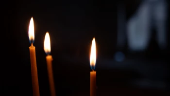 Умер бывший футболист «Зенита» Дмитрий Акимов