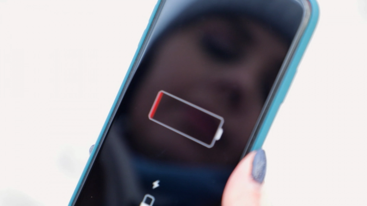 Петербургская банда украла технику Apple на 2 миллиона через поддельные возвраты - tvspb.ru