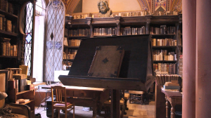 Волшебный мир библиотек. Не только книги