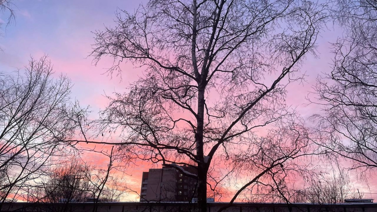 Небо над Петербургом украсил розовый закат - tvspb.ru