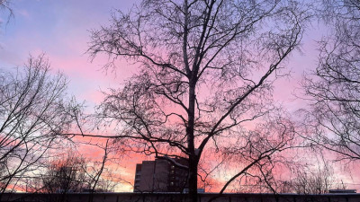 Небо над Петербургом украсил розовый закат