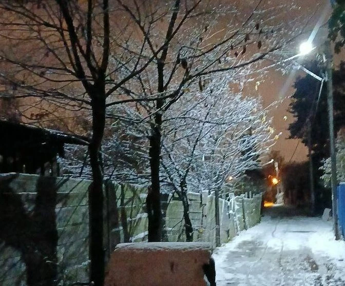 В Ленобласти 13 января ожидаются заморозки до минус 18 градусов - tvspb.ru