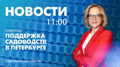 Новости Петербурга к 11:00