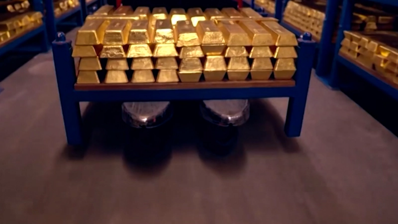 Парламент Петербурга поддержал законопроект, который позволит городу открывать резервные фонды в золоте