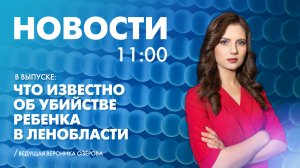 Новости Петербурга к 11:00