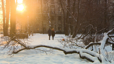 Синоптик Колесов: В Петербурге ночь на 6 февраля будет очень холодной