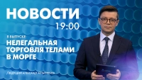 Новости Петербурга к 19:00