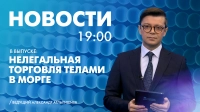 Новости Петербурга к 19:00