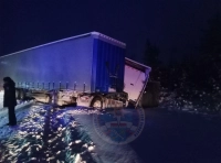 Смертельная авария с грузовиками на трассе Кола: погиб водитель легкового автомобиля