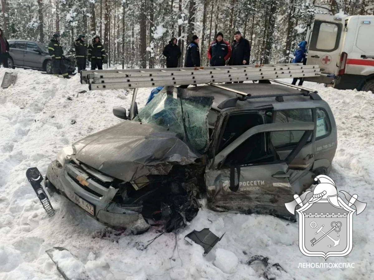 Пассажир «Нивы» пострадал в лобовом ДТП в Приозерском районе - tvspb.ru