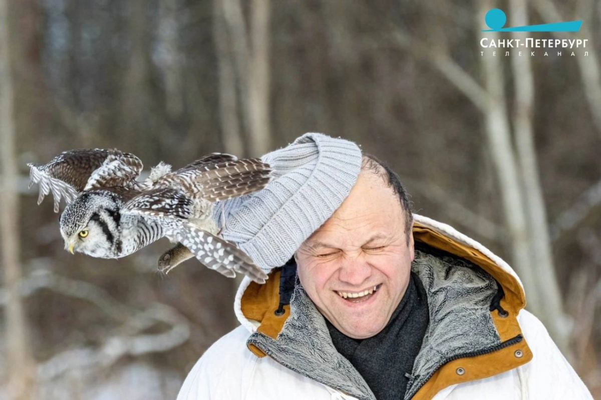 Павел Глазков в РНБ расскажет, кто из птиц остался зимовать и почему - tvspb.ru