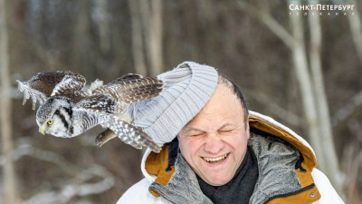 Павел Глазков в РНБ расскажет, кто из птиц остался зимовать и почему