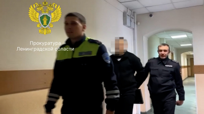 Иностранцу дали восемь лет за попытку продать 20 кг наркотиков в Ленобласти