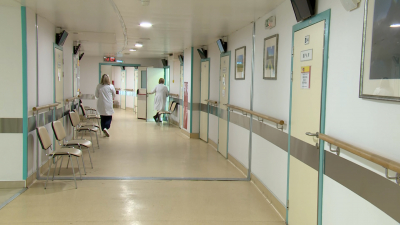 Лихорадка купирована: новые подробности о заболевших оспой обезьян в Петербурге