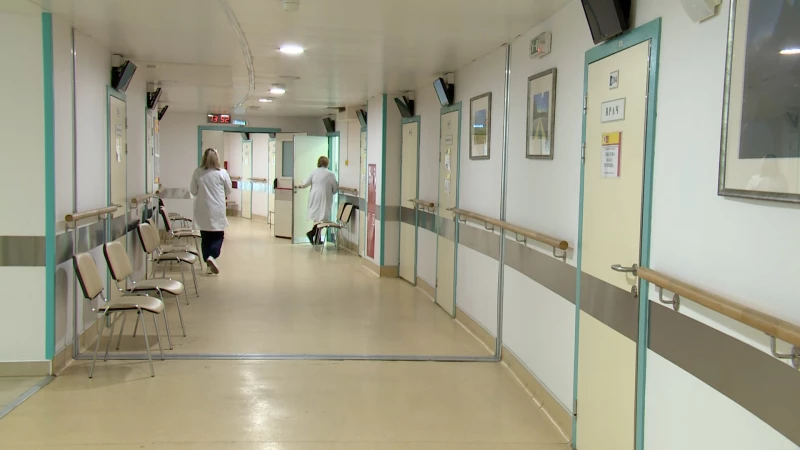 Жизни туристов, которые привезли в Петербург из Таиланда оспу обезьян, вне опасности