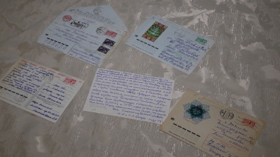 Музей-заповедник «Павловск» приобрел личный архив легендарного директора Анны Зеленовой