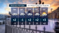 Сыро, серо, небольшой плюс: какая погода ждёт Петербург на следующей неделе