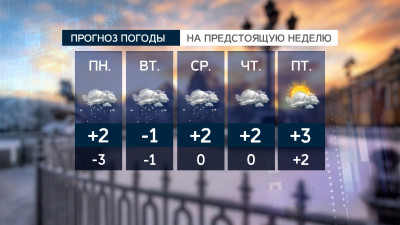 Сыро, серо, небольшой плюс: какая погода ждёт Петербург на следующей неделе