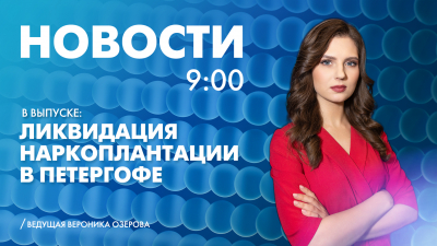 Новости Петербурга к 9:00