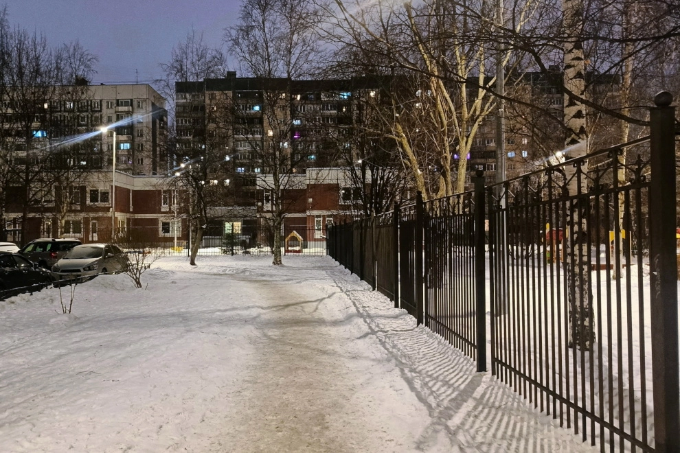 Александр Беглов: В жилом квартале у Юнтоловского лесопарка завершено строительство современной системы наружного освещения - tvspb.ru